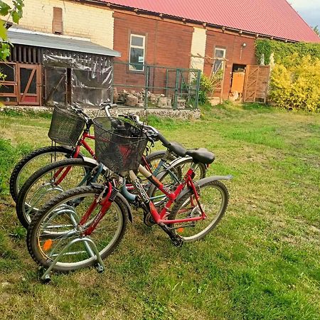 Malinowy Gaj - Agroturystyka Z Alpakami I Innymi Zwierzetami Swietajno  エクステリア 写真
