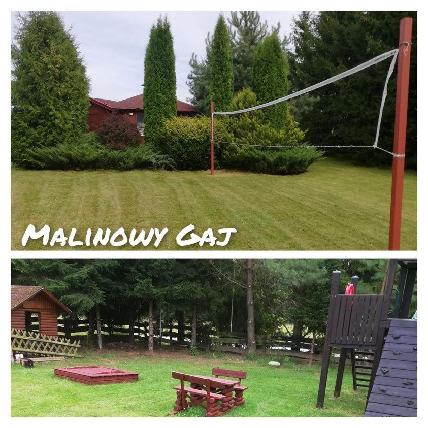 Malinowy Gaj - Agroturystyka Z Alpakami I Innymi Zwierzetami Swietajno  エクステリア 写真