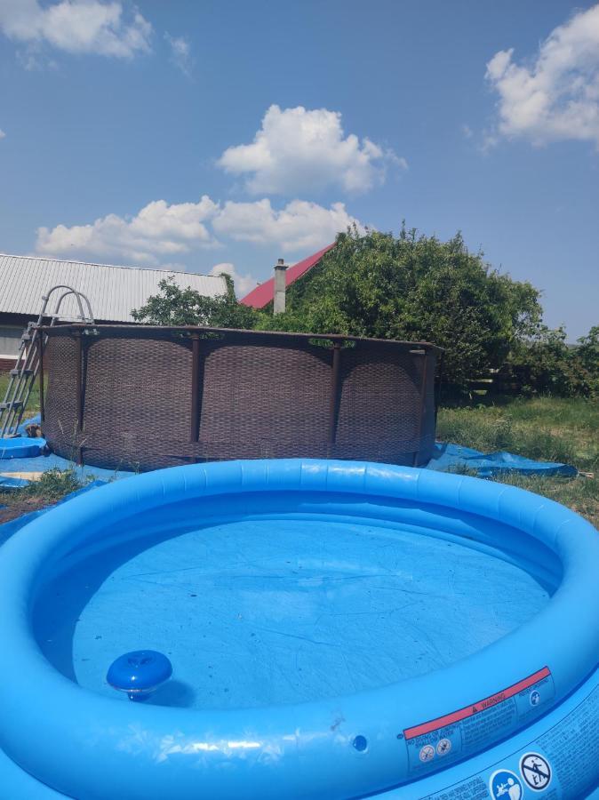 Malinowy Gaj - Agroturystyka Z Alpakami I Innymi Zwierzetami Swietajno  エクステリア 写真