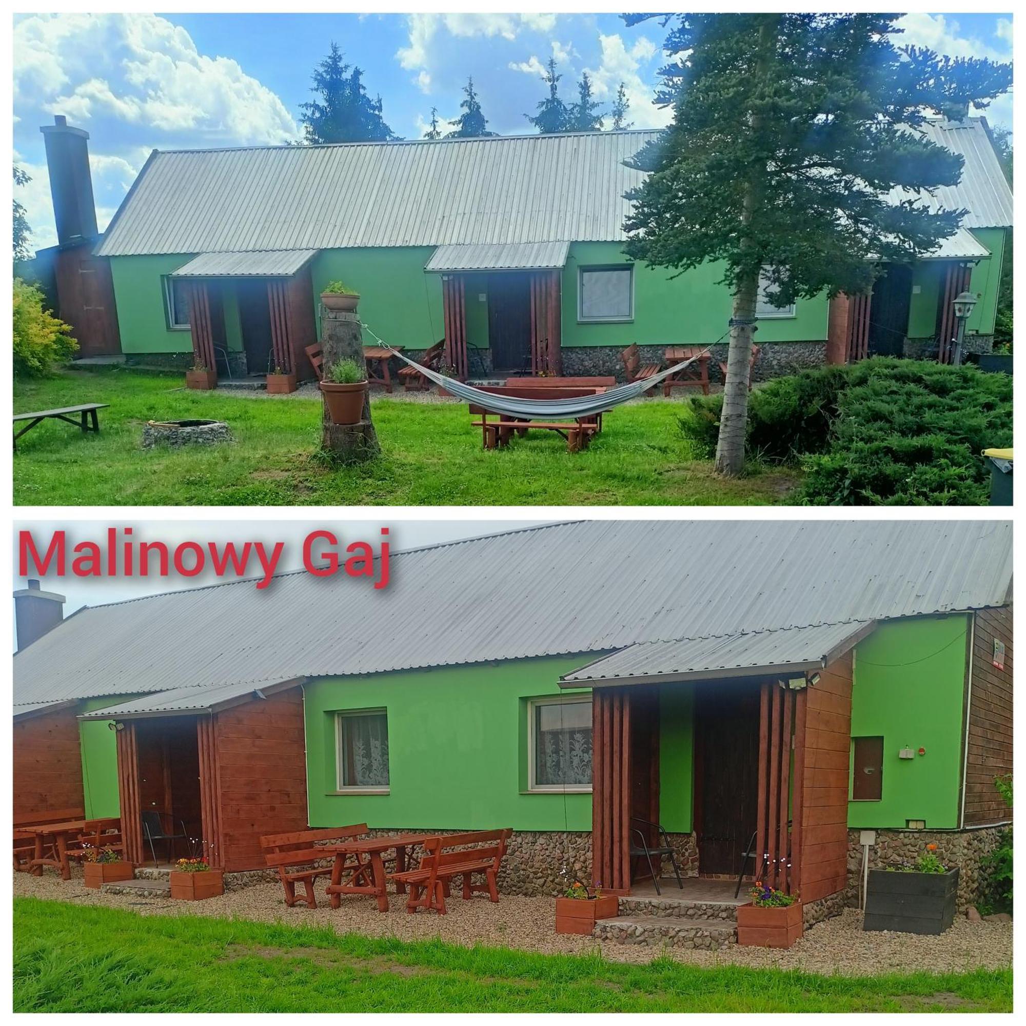 Malinowy Gaj - Agroturystyka Z Alpakami I Innymi Zwierzetami Swietajno  エクステリア 写真